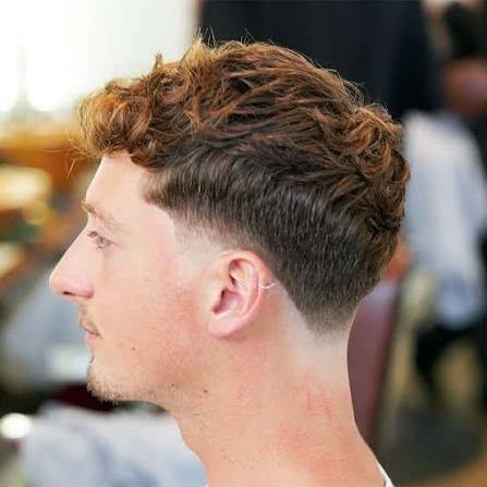 Curly Taper hairstyle